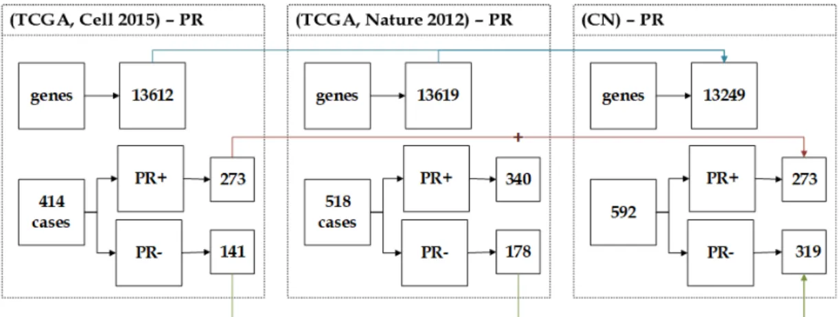 Figure 3.8: The description of CN dataset showing the unification of (Cell 2015) and (Nature 2012) datasets.