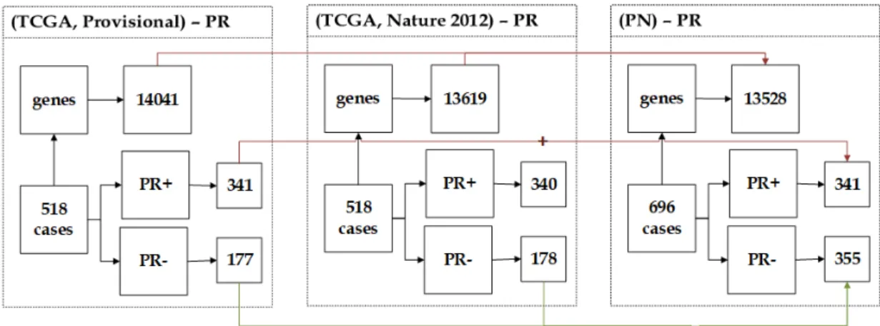 Figure 3.10: The description of PN dataset showing the unification of (Provi- (Provi-sional) and (Nature 2012) datasets.