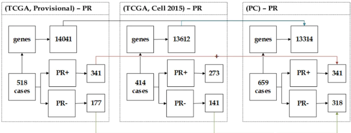 Figure 3.12: The description of PC dataset showing the unification of (Provi- (Provi-sional) and (Cell 2015) datasets.