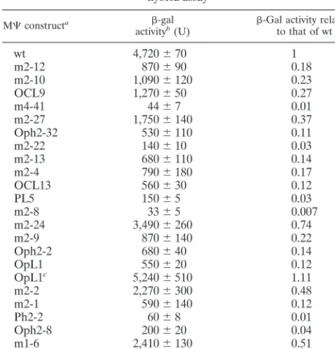 TABLE 1. �-Gal activity of RSV M� mutants in the yeast three-hybrid assay