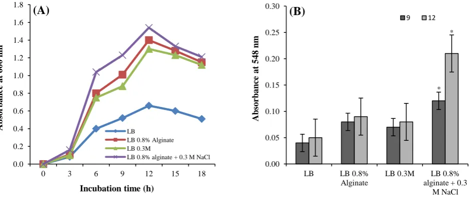 Fig. 5.             0.8% alginate and 0.3 M NaCl in 18 hours of incubation at 37°C (A) and alginate lyase activities of medium containing 0.8% alginate+0.3 M NaCl and LB medium containing 0.8% alginate and 0.3 M NaCl (B)