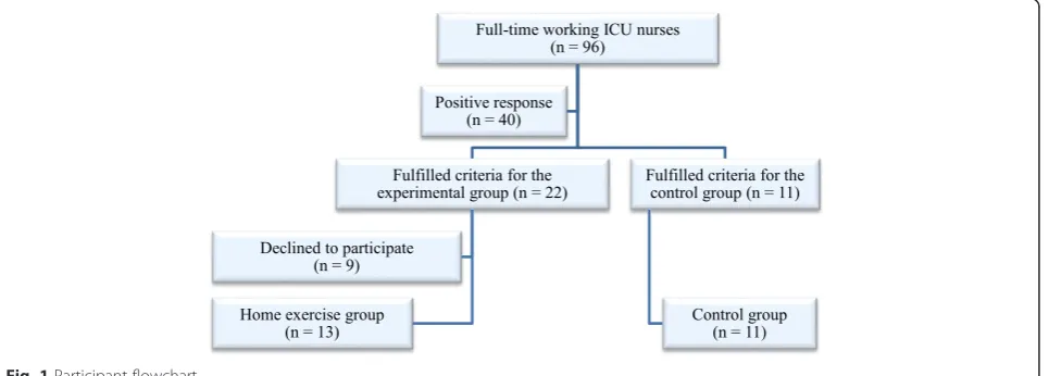 Fig. 1 Participant flowchart