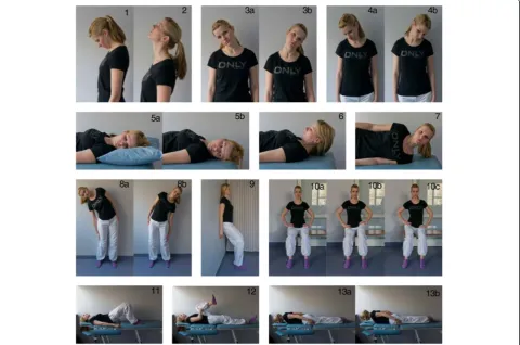 Fig. 2 Examples of the stretching and strengthening exercises used in the home-exercise therapy programme