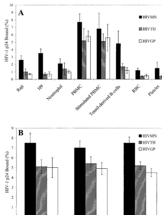 FIG. 1. Binding of HIV to cell lines and primary blood cells. HIV) were incubated with Raji cells, H9CD4-enriched or -depleted PBMC (B) for 2 h on ice