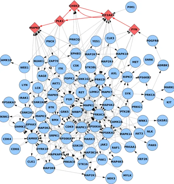 Figure 3.3: Core of the PhosphoFull network after removing nodes with null in- or out- out-degree