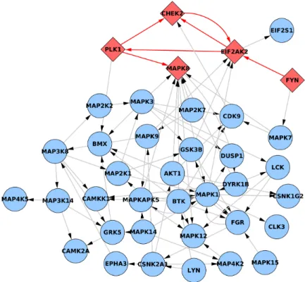 Figure 3.5: Core of the Phospho200 network after removing nodes with null in- or out- out-degree