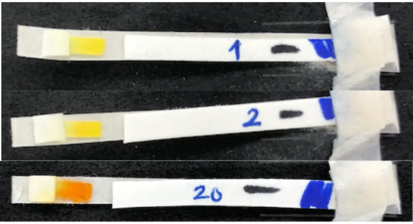 Fig. 2. Example teststrips with different creatinine concentrations.