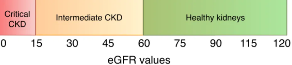 Fig. 4. Kidney disease progression given different eGFR values.