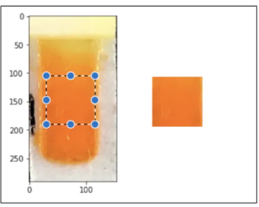 Fig. 9. Image of detection zone cropped using the bounding box annotations (left) and an image further cropped to the central 64×64 pixels (right).