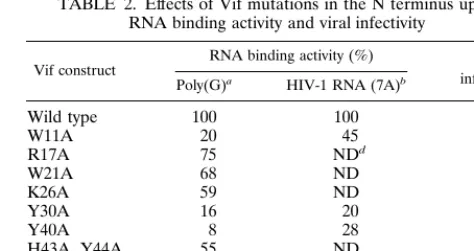 FIG. 9. Alignment of the sequences from the N termini of various Vif proteins. �, conserved in all strains; : , not completely conserved but highly homologous; 