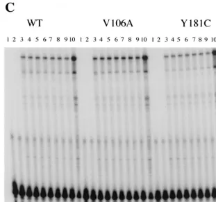 FIG. 2—Continued.