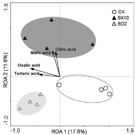Figure 6. Average well color development (AWCD) in Biolog ECO plates of CK, BX10, and BD2 as a whole