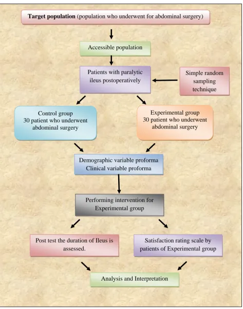 Fig.2  Schematic Representation of the Research Design. 