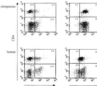 TABLE 2. Coreceptor usage of primary andchimpanzee-passaged HIV-1 variants