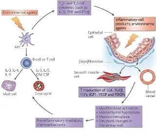 Figure 2       PATHOPHYSIOLOGY OF BRONCHIAL ASTHMA