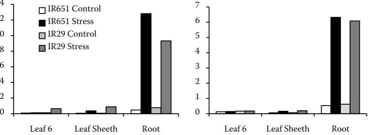 Figure 1. Na+/K+ ratio in studied genotypes of rice at (A) 72 h after salinization and (B) 240 h after salinization