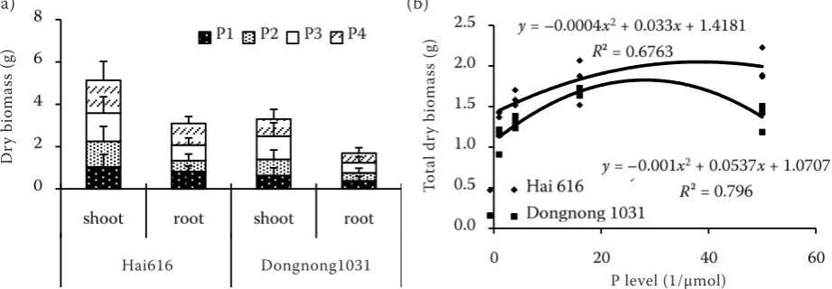 Figure 1. Dry biomass accumulation in shoot and root (a); the relationship between total dry biomass and P level (b)