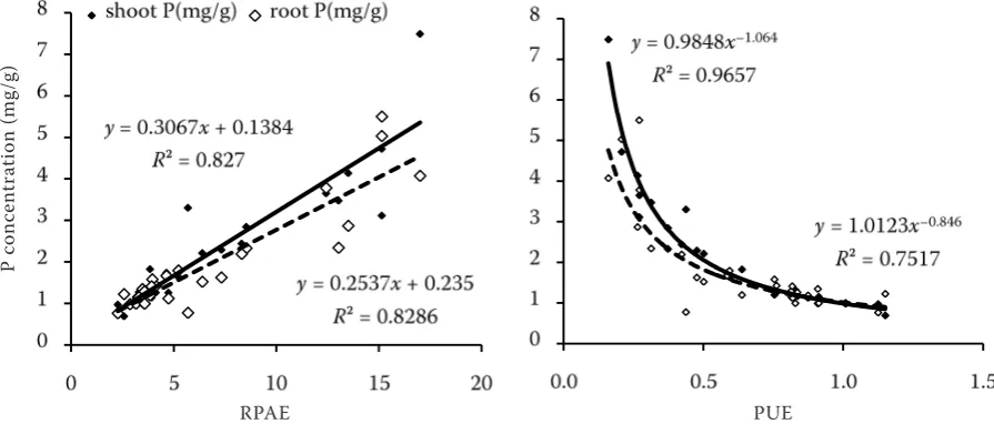 Figure 4. The relationship between P concentration and relative phosphorus absorption efficiency or phosphorus utilization efficiency of both soybean genotypes