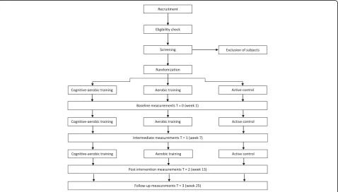 Fig. 1 Flowchart of the study design
