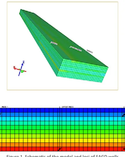Figure 1. Schematic of the model and loci of SAGD wells