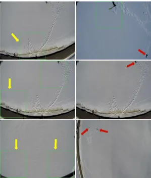 Fig. 2.9. Snapshot of frames with correct positive (left) and negative (right) detection results at the VGA resolution from the second dataset
