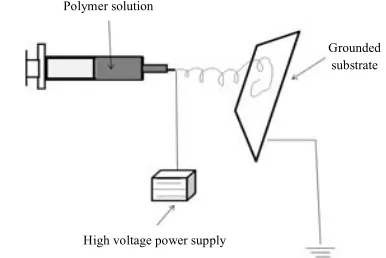 Fig. 2. Scanning electron microscopy micrographs of caprolactone nanofibers. Aligned fabricate the poly caprolactone electrospun 