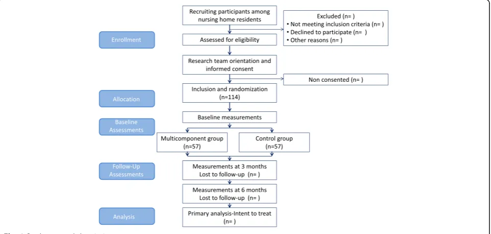 Fig. 1 Study protocol description