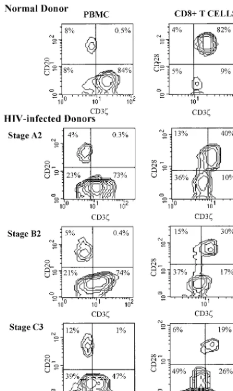 FIG. 3. Representative ﬂow cytometry contour plots of PBMC (left column)or gated CD8 T cells (right column) from a healthy donor and three HIV-