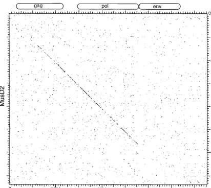FIG. 3. Dot matrix nucleotide comparison of MusD2 and MPMV. Extents of the MPMV genes are indicated
