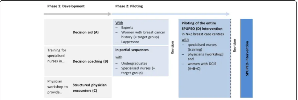 Fig. 1 The SPUPEO-intervention: Development and piloting of single components and entire intervention