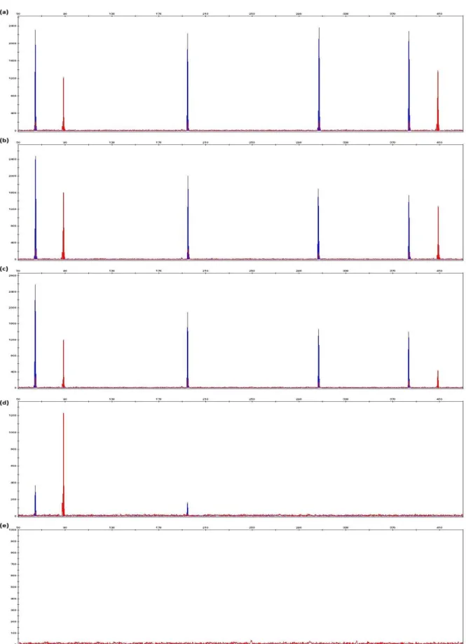 Figure  3.9:  Electropherograms  generated  from  1  ng  of  control  DNA  9947A  with  final  concentrations of (a) 2.5 ng/μl, (b) 5 ng/μl, (c) 10 ng/μl, (d) 20 ng/μl and (e) 40 ng/μl tannic acid in  10μl PCR reaction