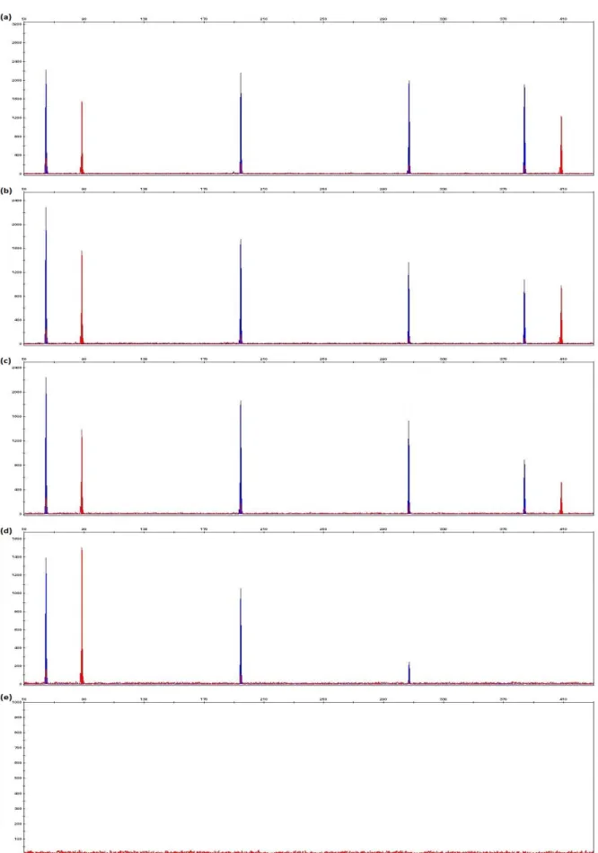 Figure  3.11:  Electropherograms  generated  from  1  ng  of  control  DNA  9947A  with  final  concentrations of (a) 1.25%, (b) 2.5%, (c) 5%, (d) 7% and (e) 9.5% ethanol in 10μl PCR reaction