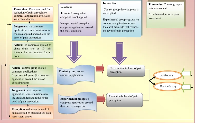 Fig 1: Conceptual Framework based on Kings Goal Attainment Theory 
