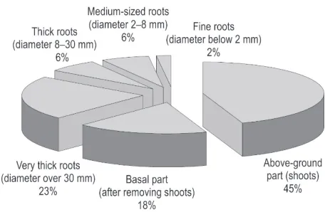 Fig. 8 Allocation of biomass (in dry state) on the energy willow plantation