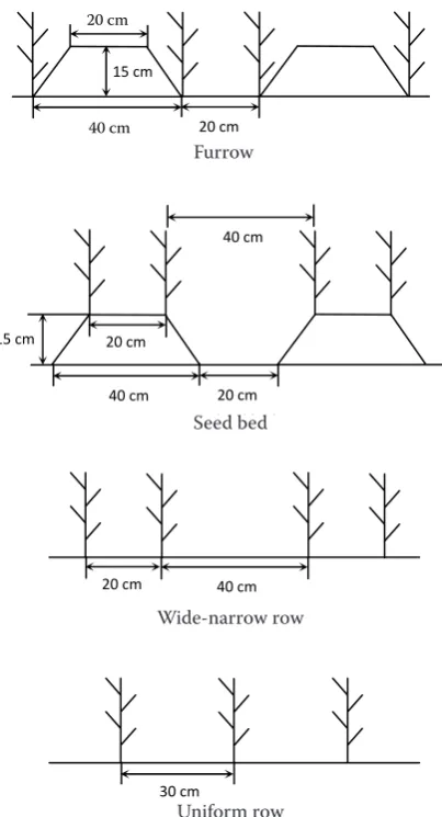 Figure 1. Schematic map of furrow, seed bed, wide-narrow row, and uniform row planting patterns in this study