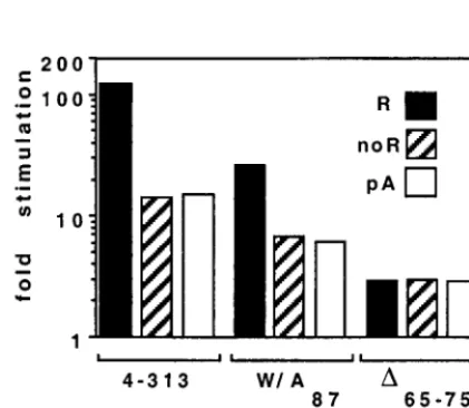 FIG. 9. Effect of the eIF4G-binding domain of NSP3 on the translation ofrotavirus-like and poly(A) mRNAs in vitro