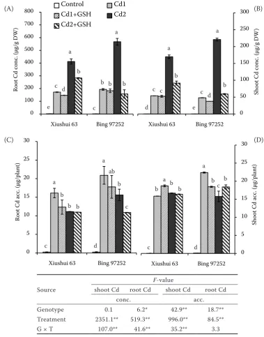 Figure 3. Effect of Cd and GSH in nutrient media on Cd concentration and accumulation in roots (A, C) and shoots (B, D) of the two rice genotypes