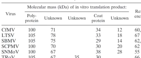 TABLE 2. In vitro translation products of some sobemoviruses