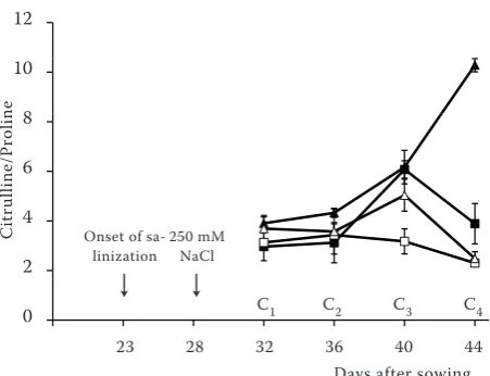 Figure 2. Changes in the proline level in leaves of two melon genotypes treated for 16 days with 250 mmol/l NaCl