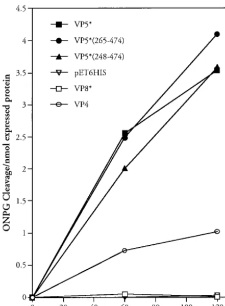 FIG. 2. Permeabilizing activity of VP5* truncations. E. colitaining pET-6HIS plasmids expressing the indicated VP5* truncations weregrown and induced as previously described (12)