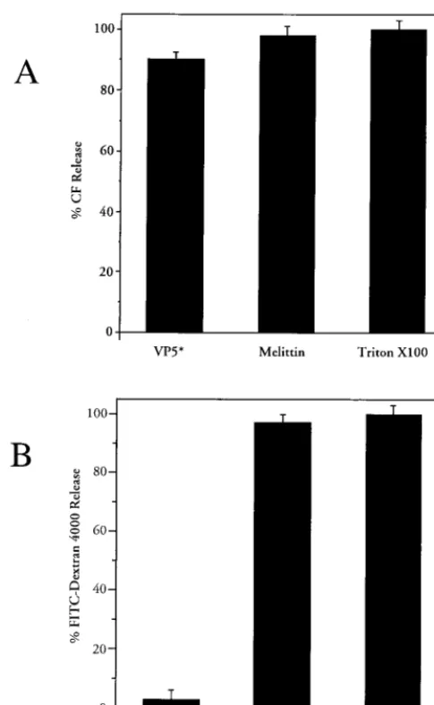 FIG. 5. VP5* selectively permeabilizes liposomes. Puriﬁed LUVs containingeither CF (70 mM) or FITC-dextran 4000 (FD-4) (30 mM) were incubated in 1.6