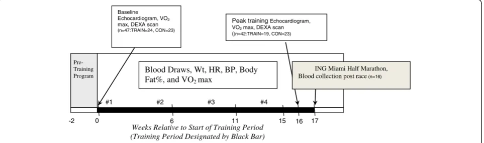 Figure 1 Study design.