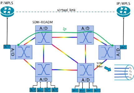 Fig. 2.4. Transparent Flex-Grid/SDM network 