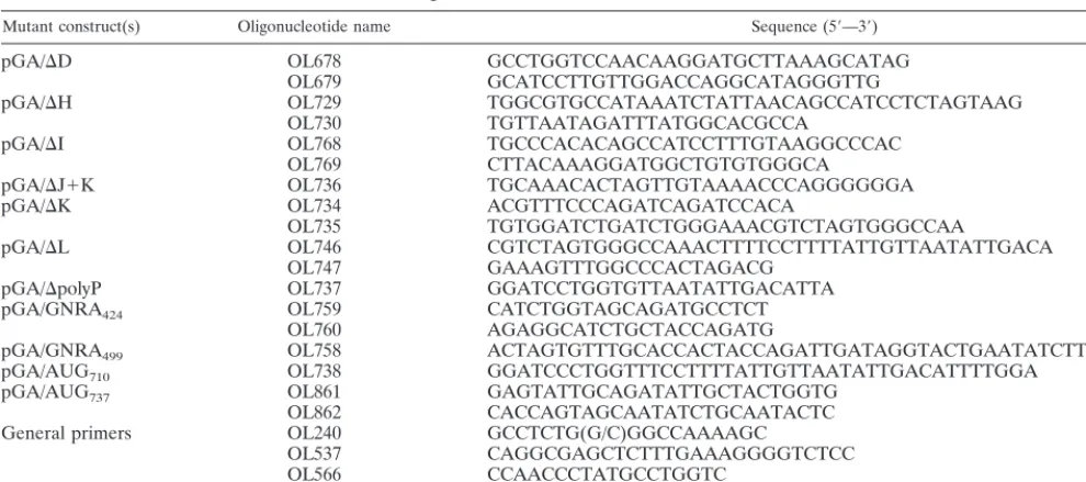 TABLE 1. Oligonucleotides used for the construction of mutants