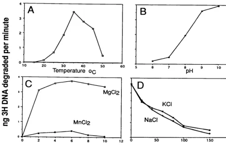 FIG. 4. Effects of temperature (A), pH (B), divalent cations Mg2For these experiments, single-stranded DNA (2for each condition tested and then incubated for 20 min