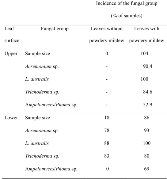 Table  3:  Incidence  of  the  most  common  commensal  fungi  in  sticky  tape  impressions  of  leaf surfaces of Quercus robur in leaf surfaces with and without powdery mildew