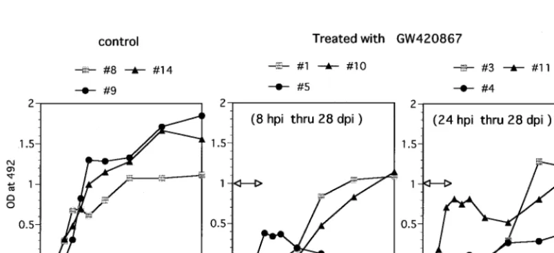 FIG. 2. Humoral response against SHIV-RT. Shown are results of antibody ELISA analysis of plasma samples from the control animals and GW420867-treatedanimals