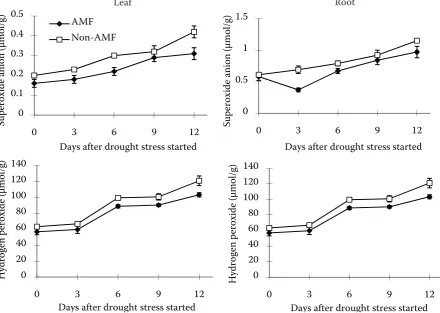 Figure 1. Changes in vesicle, arbuscle, entry point and AM colonization of mycorrhizal grafted citrus trees dur-ing 12 days of drought stress 
