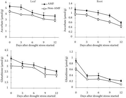 Figure 5. Changes in ascorbate and glutathione contents of AM and non-AM grafted citrus trees during 12 days of drought stress