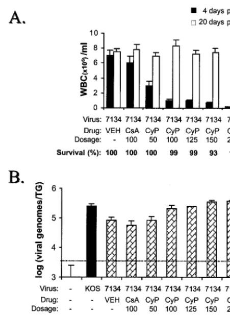 FIG. 8. Effect of CyP on WBC counts and numbers of 7134 genomes inlatently infected TG